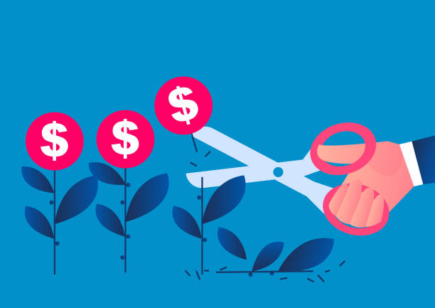 Konsultan Pajak: Solusi Tepat untuk Urusan Perpajakan Anda